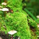 春节高速免费通行时间2022(春节高速路免费时间规定2022最新)