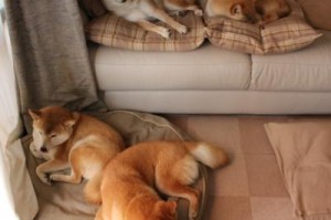 31省区市新增2例本土确诊病例/31省区市新增确诊11例本土1例