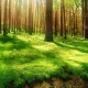 全国中高风险地区名单最新更新/全国中高风险地区名单公布