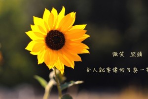 【哈尔滨最新疫情报道,哈尔滨最新疫情病例】