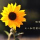 【31省份新增12例确诊,31省份新增确诊病例8例】