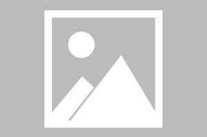 【广东疫情的最新消息,广东疫情最新资讯】