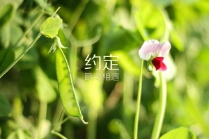 31省区市新增6例(31省区市新增6例本土确诊图片)