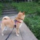 天津新增确诊病例流调疑团(天津确诊病例增至)