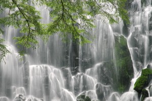 【哈尔滨最新防疫要求,哈尔滨目前防疫政策】