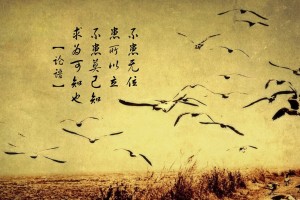 广东增本土确诊62例/广东新增本土确诊累计