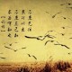 【深圳小区封闭式管理,深圳小区实行封闭管理】