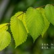 浙江新增45例本土(浙江新增1)