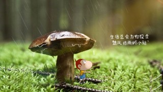 新疆新增57例确诊(新疆新增5例确诊新冠肺炎)