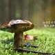宜州疫情最新情况(宜州市新型冠状病毒)