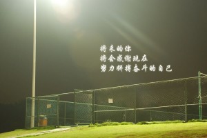 【31省份新增本土确诊53例涉及8省,31省新增确诊30例其中本土8例】