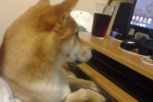 【河南新增本土无症状127例,河南新增一例无症状感染人数疫情】