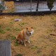 广州海珠区发现1例本地阳性病例(广州市海珠区发现1例本地新冠肺炎核酸阳性人员)