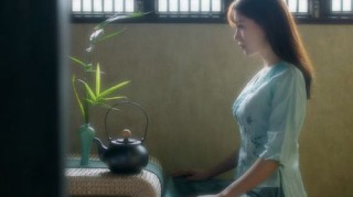 【全国各城市感染高峰进度百度,各地感染人数统计】