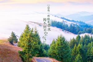 北京危重患者清零/北京危重患者清零新闻