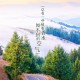 北京危重患者清零/北京危重患者清零新闻