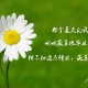 浙江省新型肺炎/浙江省新型肺炎防控公共服务平台