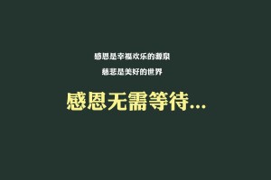 沈阳封城最新消息(沈阳封城最新消息通知)