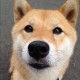 【新疆现有3119人接受医学观察,新疆有多少新冠病人】