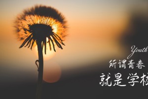 沈阳疫情最新消息今天封城了(沈阳疫情情况?)