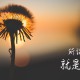 31省区市新增34例(31省份新增34例)