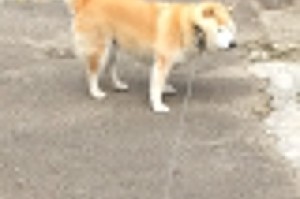 【浙江新增1例新疆输入无症状病例,浙江新增无症状1例最新消息】