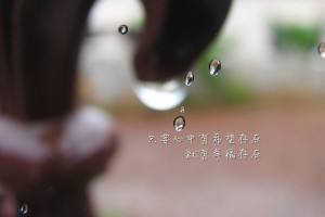 河南昨日新增本土确诊41例(河南昨日新增本土确诊41例是哪里的)