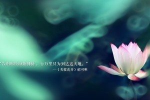 大连新增9例本土确诊病例/大连新增9例本土确诊病例行程轨迹